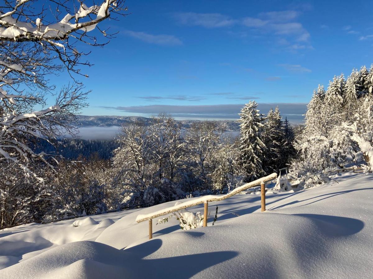 La Source D'En Haut Valcivieres Exteriér fotografie