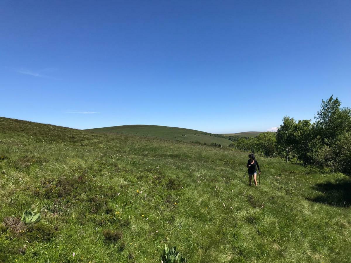 La Source D'En Haut Valcivieres Exteriér fotografie