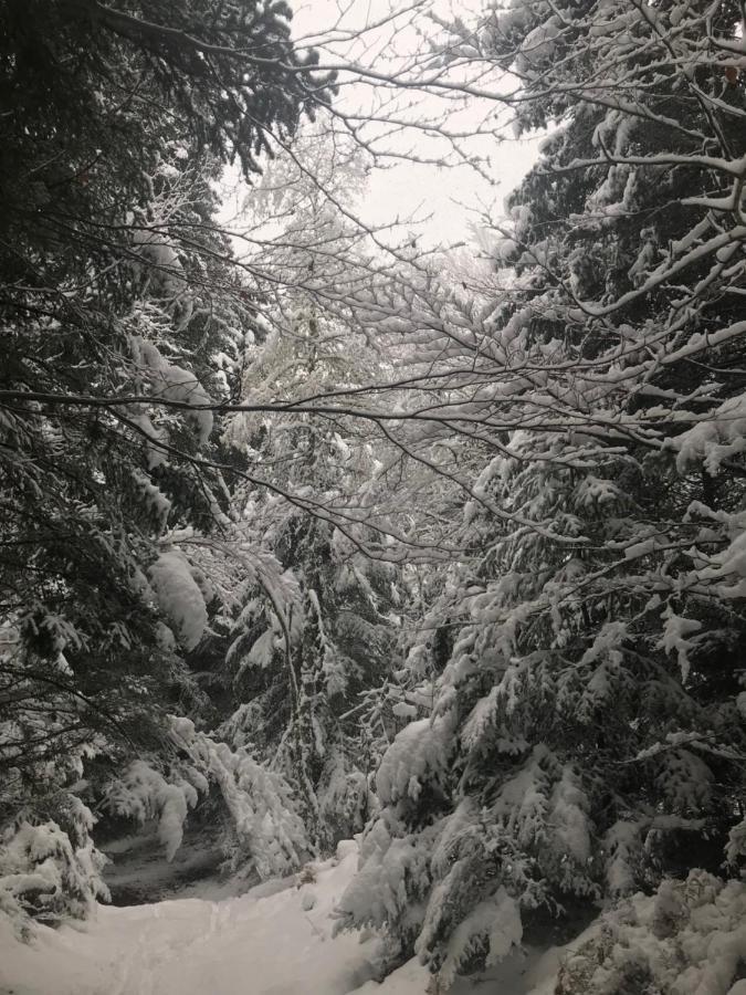 La Source D'En Haut Valcivieres Exteriér fotografie